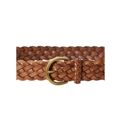 Polo Ralph Lauren Belt In Brown