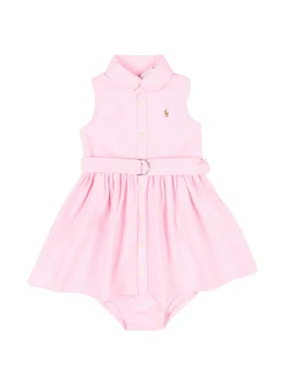 Polo Ralph Lauren Babies' Belt Collared Dress In Pink