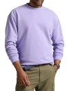 Polo Ralph Lauren Big & Tall Loopback Fleece Sweatshirt In Sky Lavender