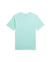 Polo Ralph Lauren Big Boys Cotton Jersey Crewneck T-shirt In Parakeet