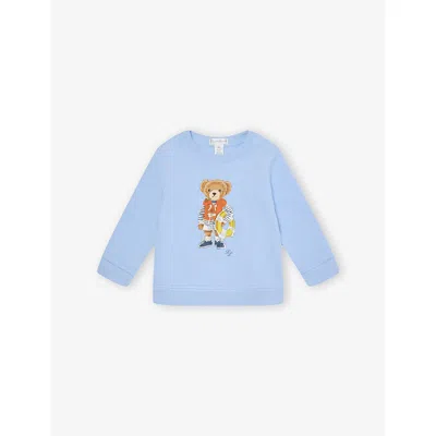 Polo Ralph Lauren Baby Boy Polo Bear Regular-fit Cotton-blend Sweatshir In Blue