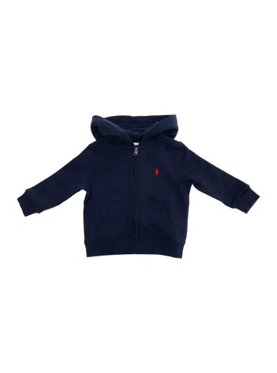 Polo Ralph Lauren Blue Sweatshirt With Fixed Hood And Pony Embroidery On The Front In Cotton Blend Baby