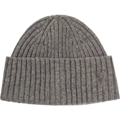 Polo Ralph Lauren Bold Cuff Beanie In Brown