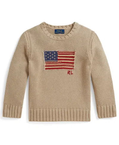 Polo Ralph Lauren Kids' Boys' 2t-7 Contrast Trim Iconic Flag Sweater In Nude