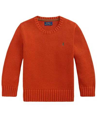 Polo Ralph Lauren Kids' Boys' 2t-7 Crewneck Sweater In Red