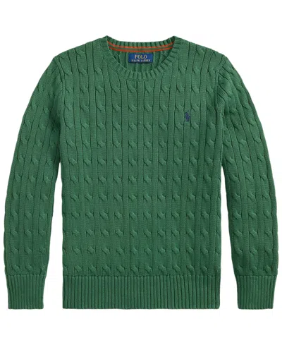 Polo Ralph Lauren Kids' Boys' 8-20 Long-sleeve Sweater In Green