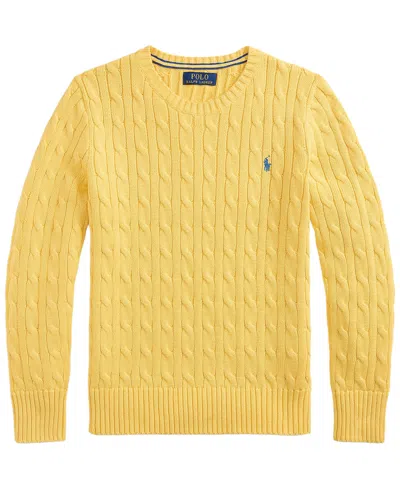 Polo Ralph Lauren Kids' Boys' 8-20 Long-sleeve Sweater In Yellow