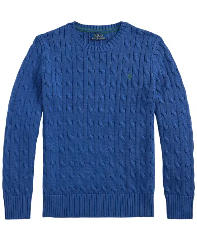Polo Ralph Lauren Kids' Boys' 8-20 Long-sleeve Sweater In Blue