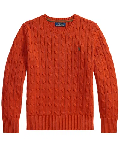 Polo Ralph Lauren Kids' Boys' 8-20 Long-sleeve Sweater In Red