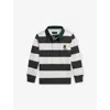 Polo Ralph Lauren Big Boys Polo Bear Rugby Shirt In Multi