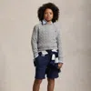 Polo Ralph Lauren Kids' Cable-knit Cotton Sweater In Andover Heather