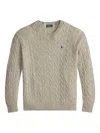 Polo Ralph Lauren Cable-knit Crew-neck Sweater In Brown