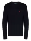 Polo Ralph Lauren Sweater With Embroidery In Blue