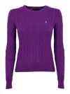 Polo Ralph Lauren Sweaters In Purple