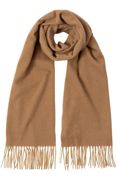 Polo Ralph Lauren Cashmere Blend Scarf In Brown