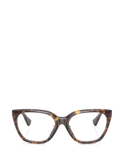 Polo Ralph Lauren Cat-eye-frame Glasses In Brown