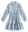 Polo Ralph Lauren Checked Cotton Shirt Dress In Blue