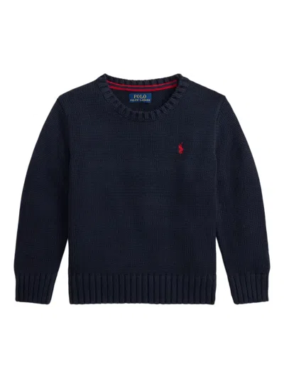 Polo Ralph Lauren Kids' Cotton Crew-neck Sweater In Blue