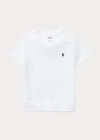 Polo Ralph Lauren Ralph Lauren Kids T-shirt Con Ricamo Polo Pony In Andover Heather