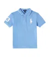 Polo Ralph Lauren Cotton Polo Shirt In Blue