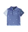 Polo Ralph Lauren Cotton Polo Shirt In Blue