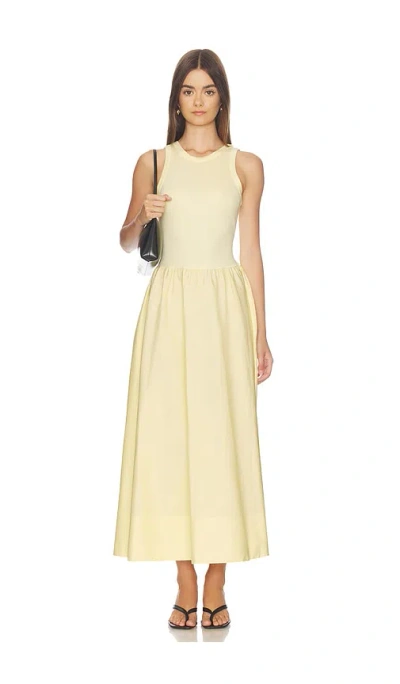 Polo Ralph Lauren Crew Neck Sleeveless Fit And Flare Dress In Yellow