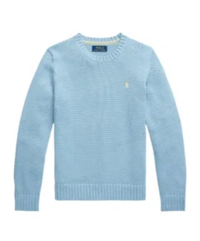 Polo Ralph Lauren Crew Neck Sweater In Blue