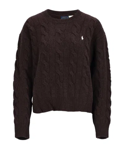 Polo Ralph Lauren Crew Neck Sweater In Brown