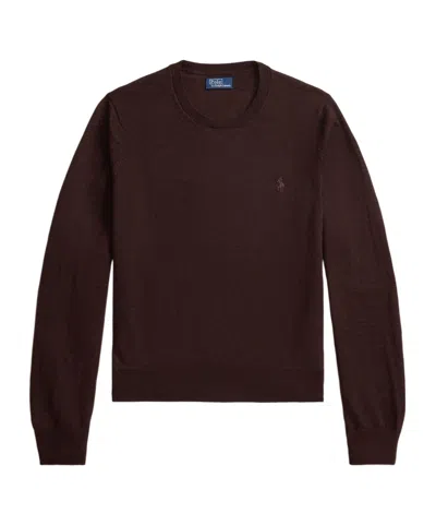 Polo Ralph Lauren Crew Neck Sweater In Brown
