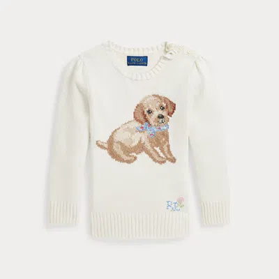 Polo Ralph Lauren Kids' Dog Crewneck Sweater In Nevis