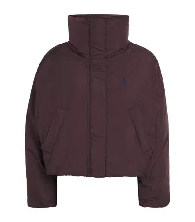 Polo Ralph Lauren Down Cropped Puffer Jacket In Purple
