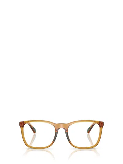Polo Ralph Lauren Eyeglasses In Brown