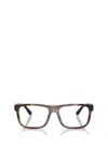 Polo Ralph Lauren Eyeglasses In Brown