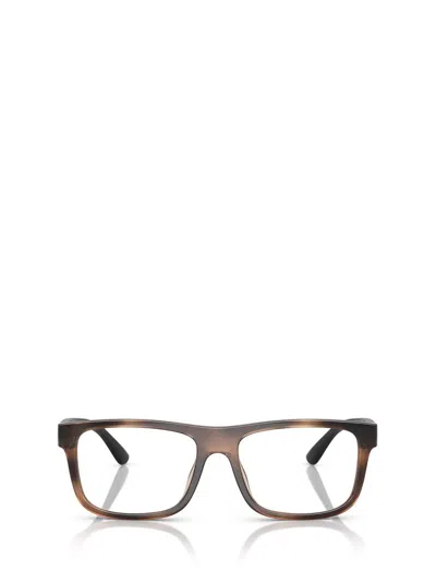 Polo Ralph Lauren Eyeglasses In Brown