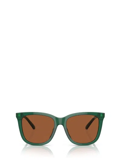 Polo Ralph Lauren Eyewear Butterfly Frame Sunglasses In Black