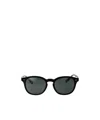 Polo Ralph Lauren 0ph4206 Sunglasses In Black
