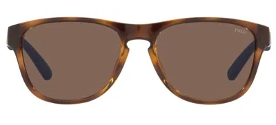 Polo Ralph Lauren Eyewear Oval Frame Sunglasses In Brown
