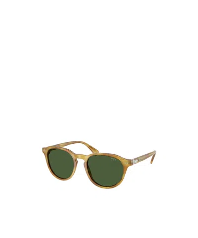 Polo Ralph Lauren Eyewear Round Frame Sunglasses In Green