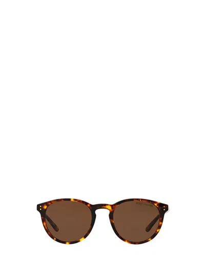Polo Ralph Lauren Sunglasses In Shiny Antique Havana
