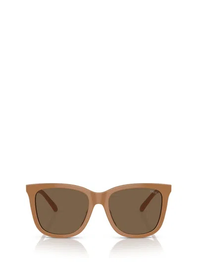 Polo Ralph Lauren Eyewear Butterfly Frame Sunglasses In Brown