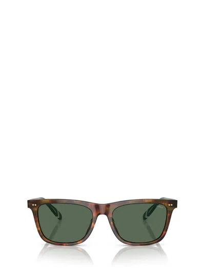 Polo Ralph Lauren Eyewear Square Frame Sunglasses In Multi