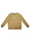 Polo Ralph Lauren Felpa Gc Logo In Beige