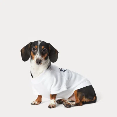 Polo Ralph Lauren Fleece Crewneck Dog Sweatshirt In White