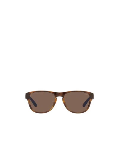 Polo Ralph Lauren Full Frame Sunglasses