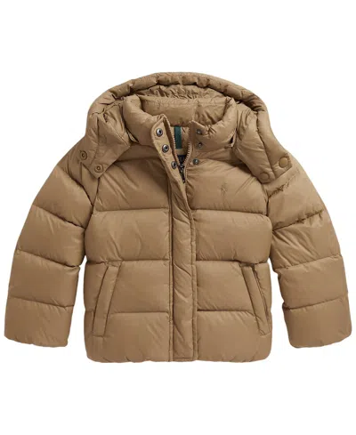 Polo Ralph Lauren Kids' Girls' 2t-6x Down Hooded Jacket In Brown