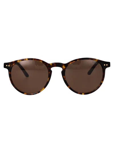 Polo Ralph Lauren 0ph4206 Tortoiseshell Acetate Sunglasses In Multi
