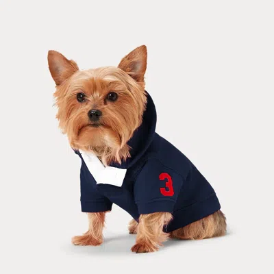 Polo Ralph Lauren Home Big Pony Fleece Dog Hoodie In Blue