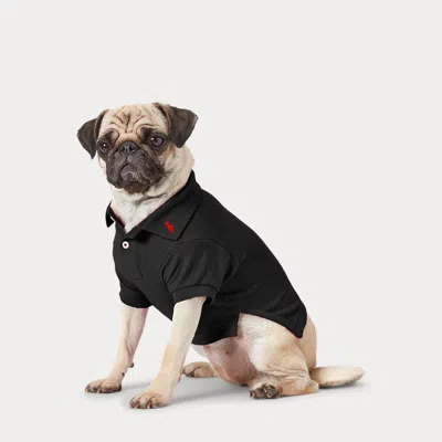 Polo Ralph Lauren Home Cotton Mesh Dog Polo Shirt In Black