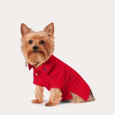 Polo Ralph Lauren Home Cotton Mesh Dog Polo Shirt In Red