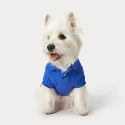 Polo Ralph Lauren Home Polo Bear Cotton Mesh Dog Polo Shirt In Blue